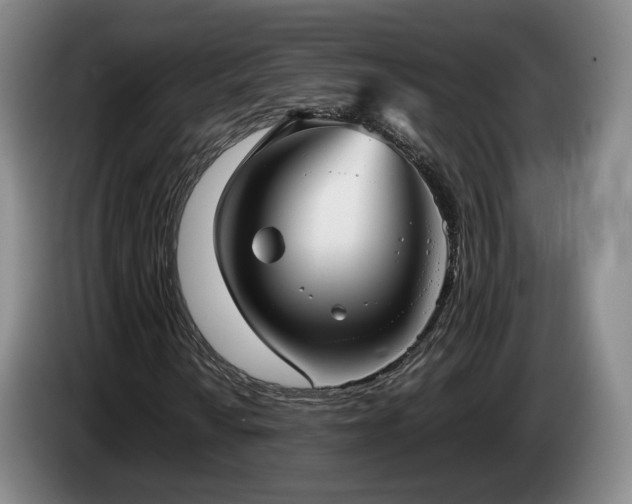 X0000085071010200703121637