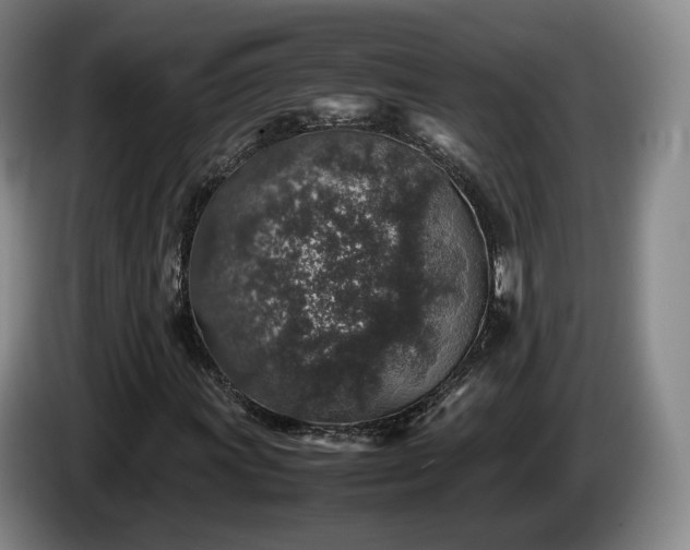 X0000085071011200703121637