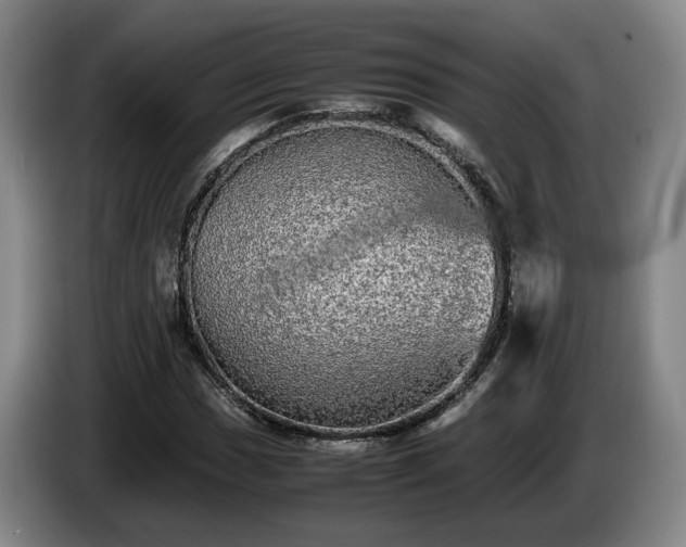 X0000085071017200703121637