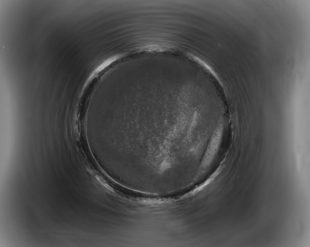 X0000085071018200703121637