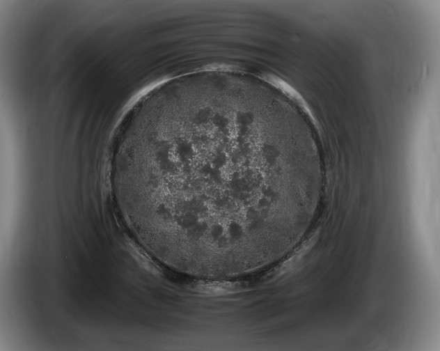 X0000085071019200703121637