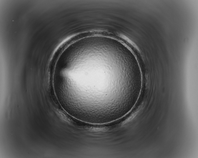 X0000085071021200703121637