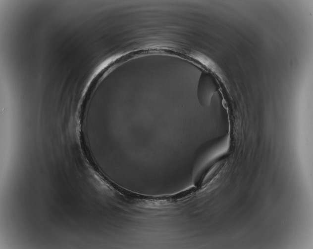 X0000085071024200703121637