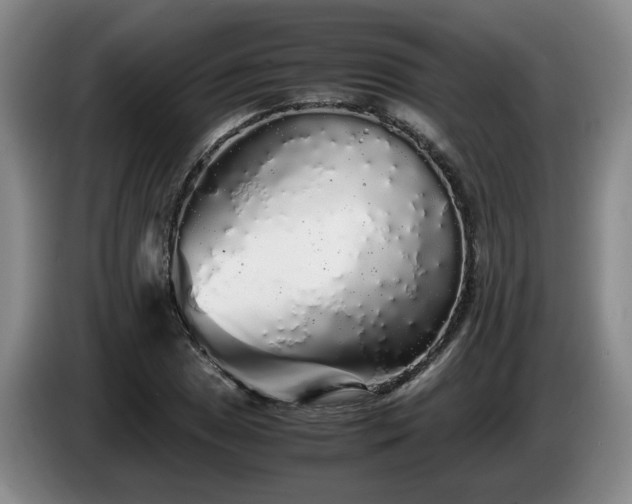 X0000085071025200703121637