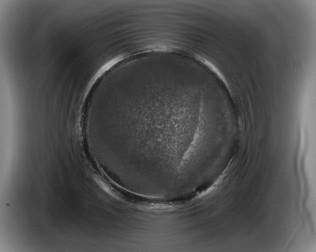 X0000085071026200703121637