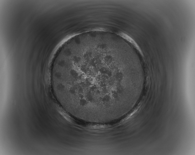 X0000085071027200703121637