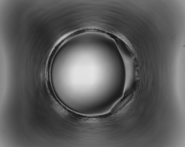 X0000085071028200703121637