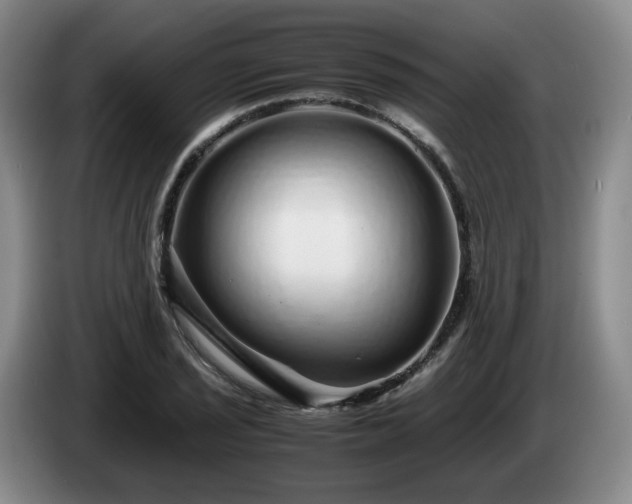 X0000085071029200703121637