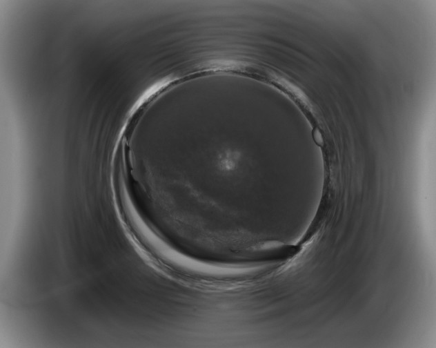 X0000085071034200703121637