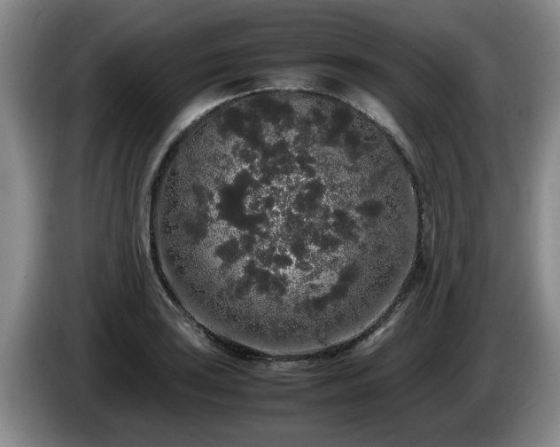 X0000085071035200703121637