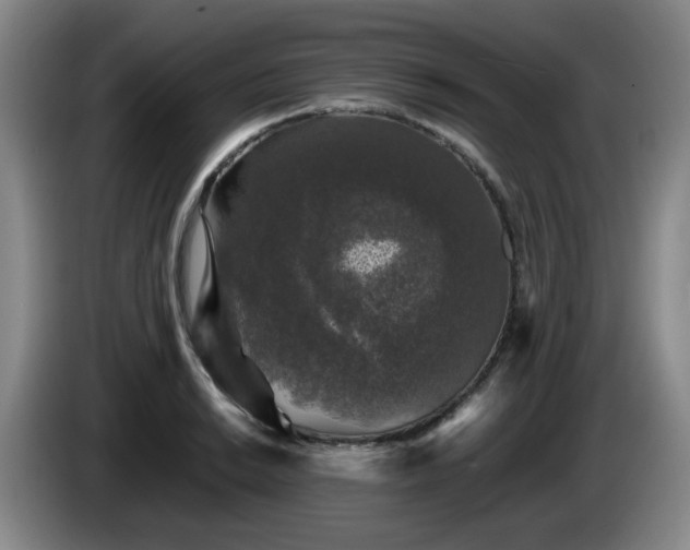 X0000085071038200703121637