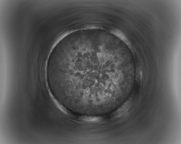 X0000085071039200703121637