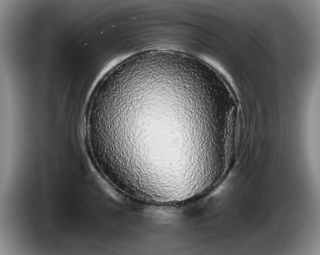 X0000085071040200703121637