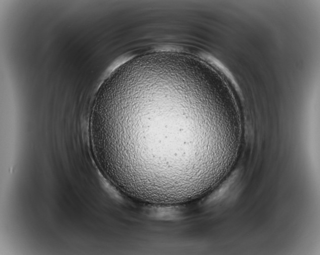 X0000085071041200703121637