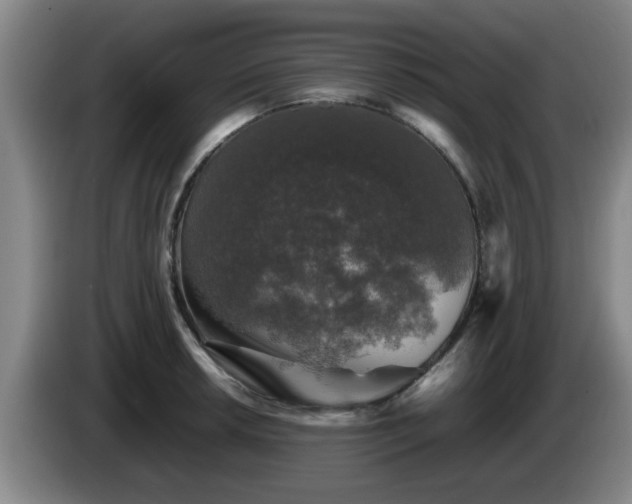 X0000085071042200703121637