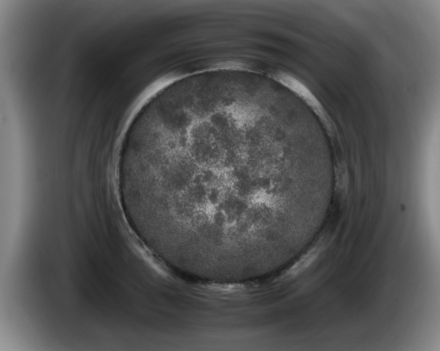 X0000085071043200703121637