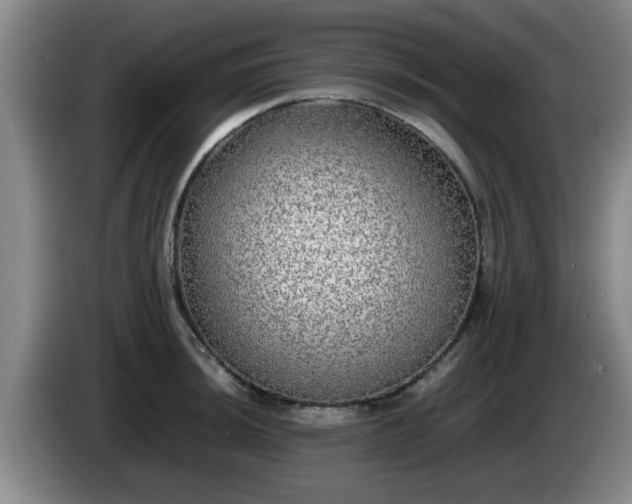 X0000085071044200703121637