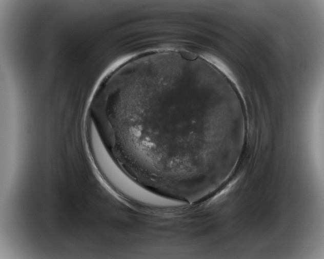 X0000085071045200703121637