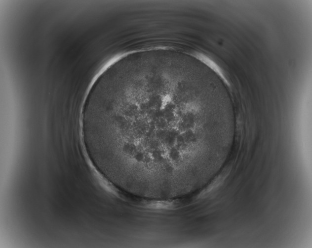 X0000085071047200703121637