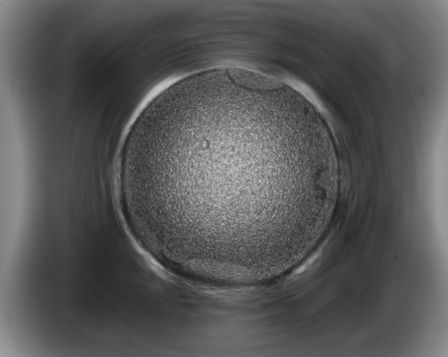 X0000085071048200703121637