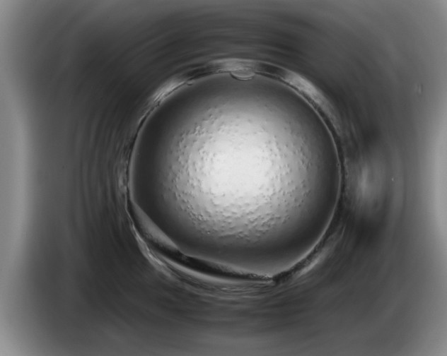 X0000085071049200703121637