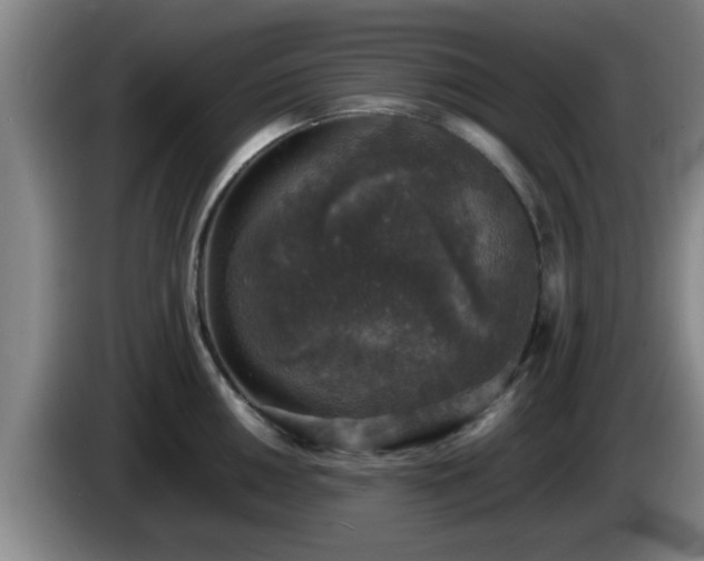 X0000085071050200703121637