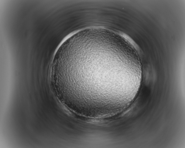 X0000085071052200703121638