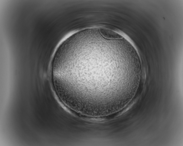 X0000085071053200703121638