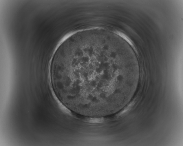 X0000085071055200703121638