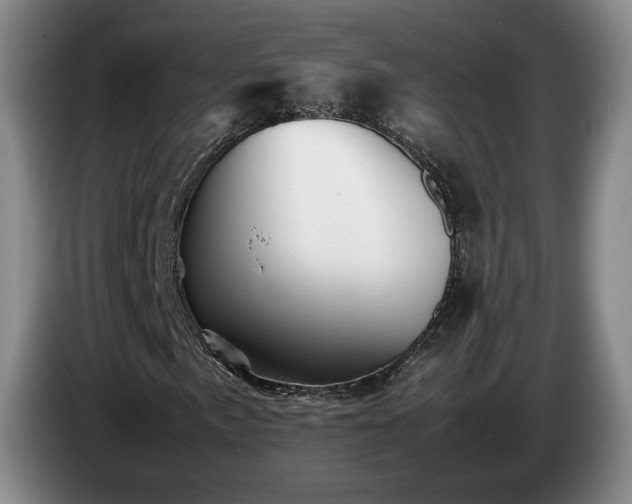 X0000085071057200703121637