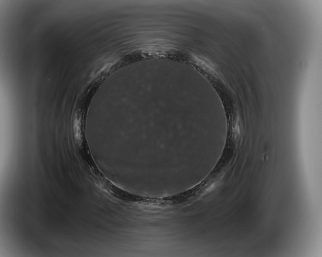 X0000085071060200703121637