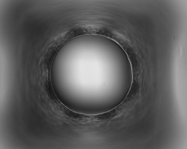 X0000085071061200703121637