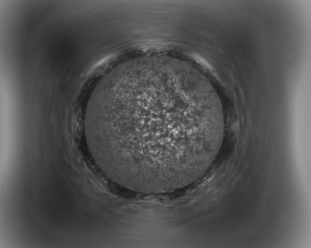 X0000085071063200703121637