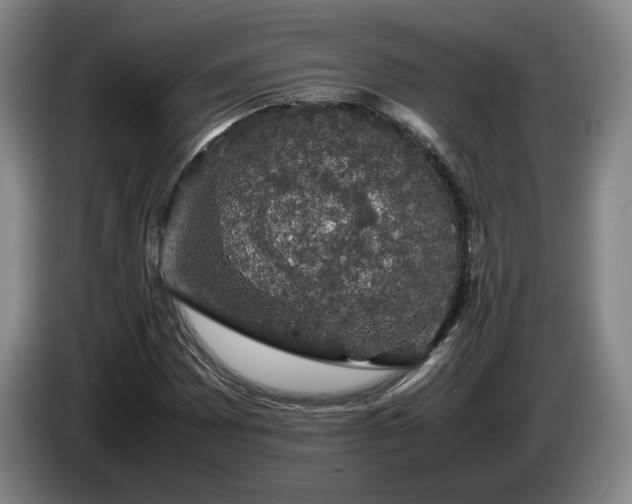 X0000085071065200703121637