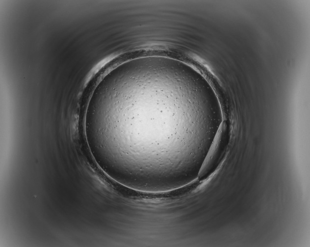 X0000085071066200703121637