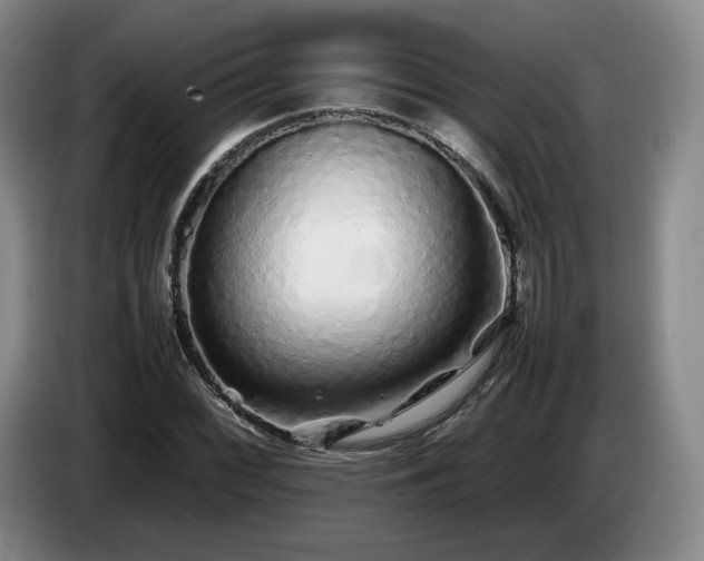 X0000085071068200703121637