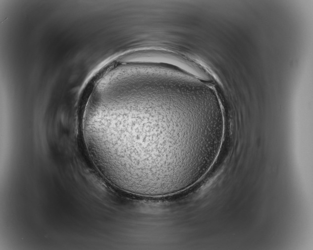 X0000085071069200703121637