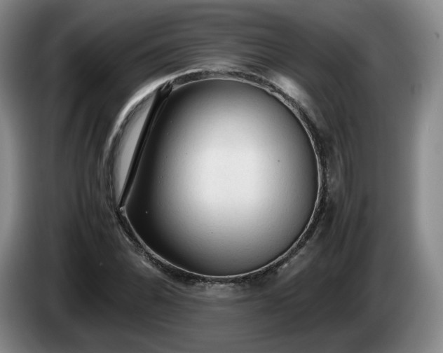 X0000085071070200703121637