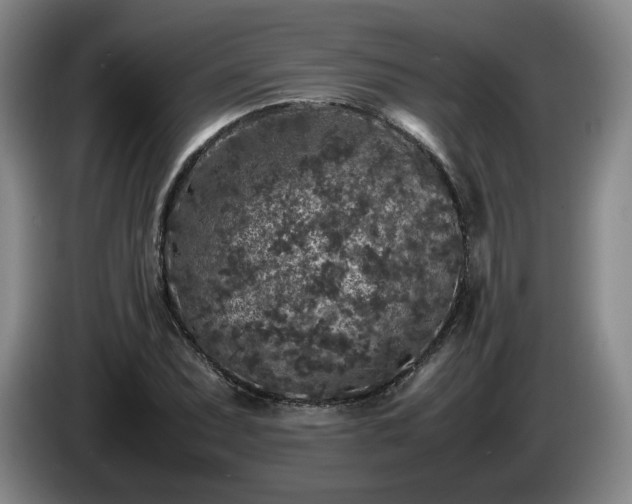 X0000085071071200703121637