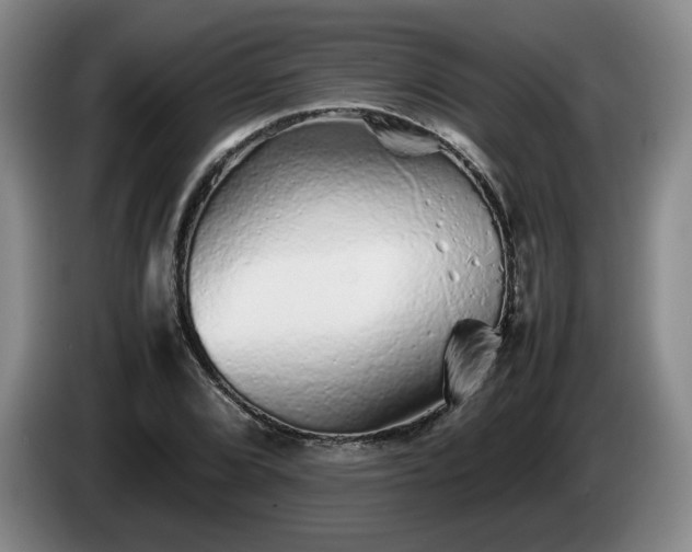 X0000085071072200703121637