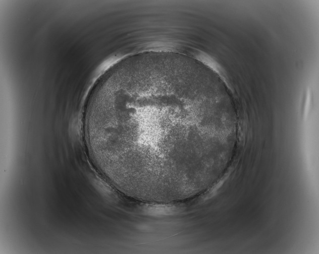 X0000085071074200703121637