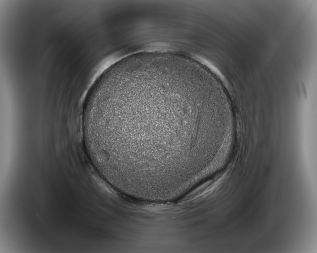 X0000085071075200703121637