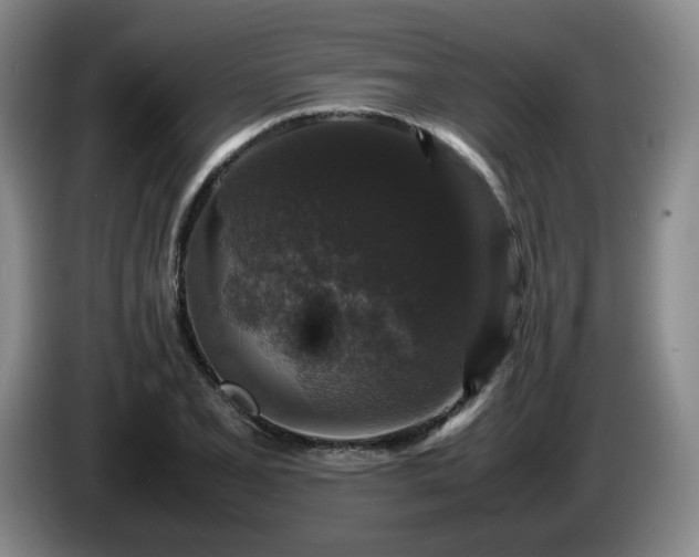 X0000085071077200703121637