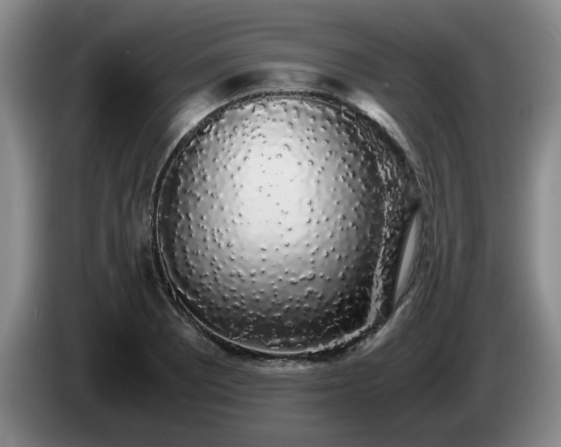 X0000085071081200703121637