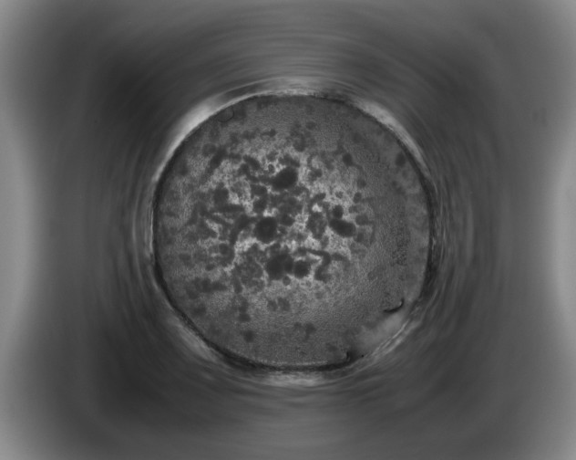 X0000085071083200703121637