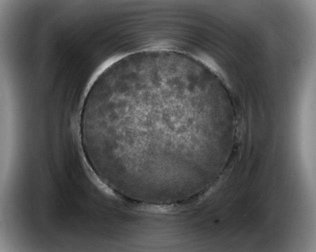 X0000085071086200703121637