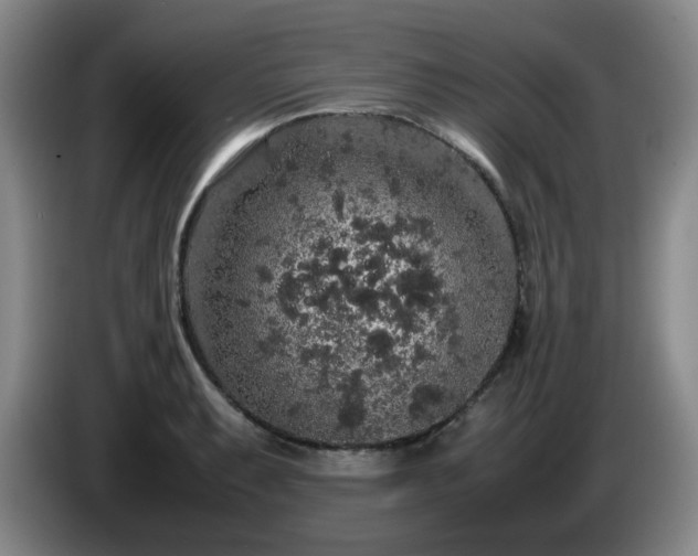 X0000085071087200703121637