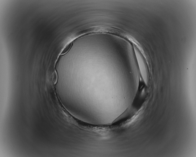 X0000085071089200703121637