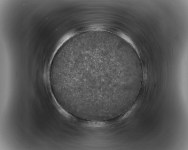 X0000085071090200703121636