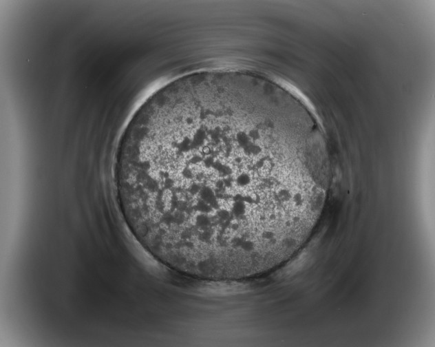 X0000085071091200703121636